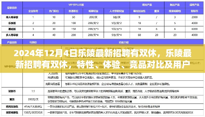 樂(lè)陵最新招聘特性解讀，雙休工作體驗(yàn)與競(jìng)品對(duì)比分析（XXXX年全新解讀）