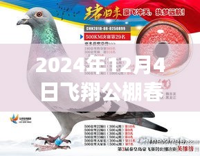 揭秘最新公告，飛翔公棚春棚更新動態(tài)，關(guān)注所有你關(guān)心的內(nèi)容