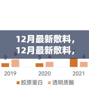 12月最新敷料革新與應用，深度探討與解讀