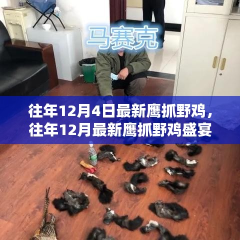 往年12月鷹獵野雞盛宴，技巧分享與狩獵體驗(yàn)
