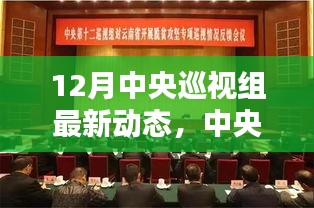 中央巡視組最新動(dòng)態(tài)，深化黨內(nèi)監(jiān)督，聚焦巡視成果，以最新一輪巡視為例