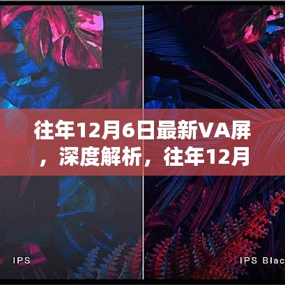 輕飛曼舞 第5頁(yè)