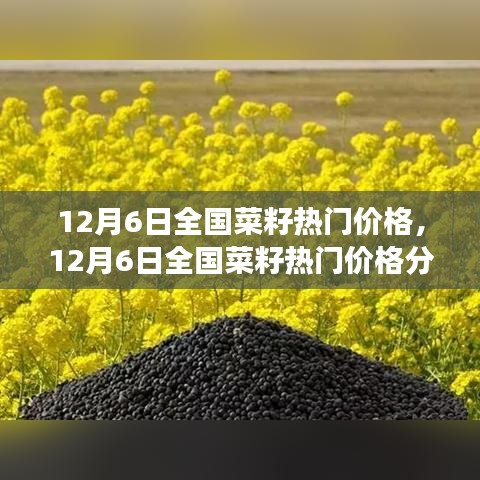 12月6日全國菜籽熱門價(jià)格解析，市場(chǎng)走勢(shì)洞察與個(gè)人觀點(diǎn)分享