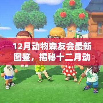 揭秘十二月動(dòng)物森友會(huì)最新圖鑒，三大看點(diǎn)深度解析與全面指南