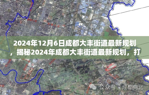 揭秘未來藍(lán)圖，成都大豐街道2024年最新規(guī)劃展望