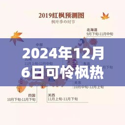 紀(jì)念特殊時刻，可憐楓熱背后的故事與影響——2024年12月6日時光印記