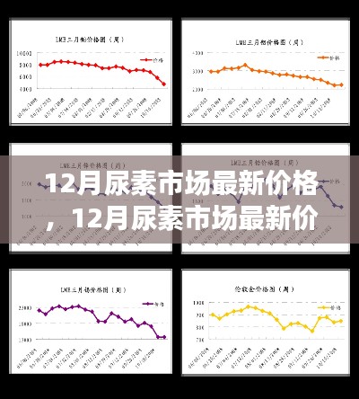 多方觀點(diǎn)碰撞與個(gè)人立場(chǎng)，12月尿素市場(chǎng)最新價(jià)格及走勢(shì)分析