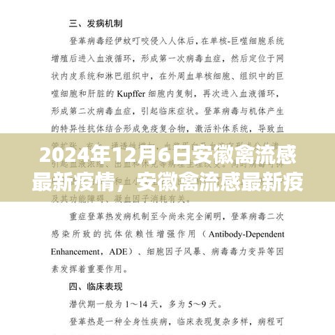 深度觀察，安徽禽流感最新疫情背景、進展與影響分析（2024年12月6日）