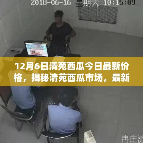 清苑西瓜最新價(jià)格動(dòng)態(tài)及市場分析，揭秘市場趨勢（以12月6日數(shù)據(jù)為例）