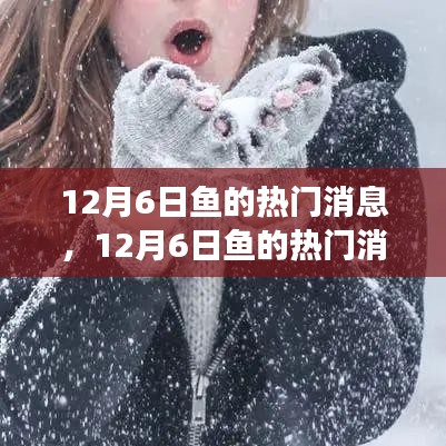 深度解析，揭秘12月6日魚的熱門消息背后的觀點與立場