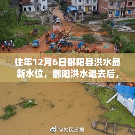 追尋內(nèi)心平靜的洪水退去之旅，鄱陽洪水最新水位報(bào)告