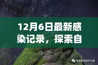 治愈感染之旅，探索自然美景與最新感染記錄揭秘