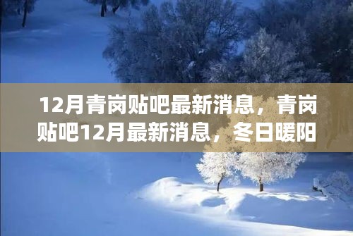 冬日暖陽下的青崗貼吧，最新消息與友情故事匯聚