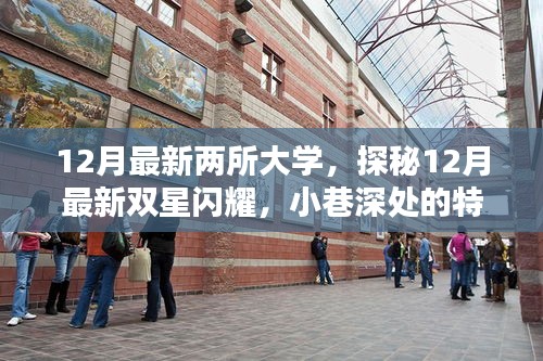 探秘最新雙星閃耀，揭秘十二月新大學(xué)與小巷特色小店中的隱藏時(shí)光