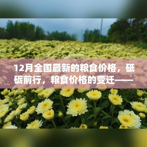 砥礪前行見(jiàn)證變遷，12月全國(guó)最新糧食價(jià)格及其背后的勵(lì)志故事。
