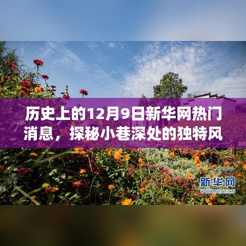 探秘小巷深處的獨特風味，歷史上的十二月九日新華網熱門消息深度解析