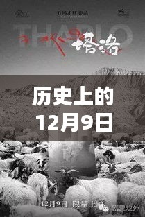 十二月九日清穿終章，探尋歷史魅力與清穿小說完結(jié)新篇章