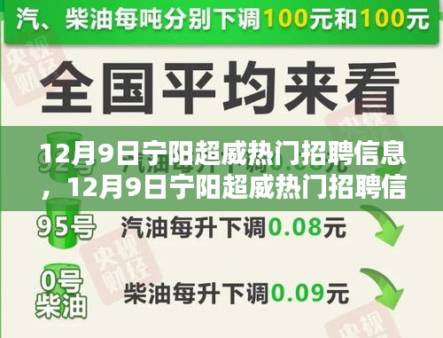 12月9日寧陽超威熱門招聘信息詳解與全面評(píng)測