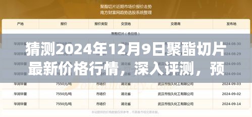 獨(dú)家解析，預(yù)測(cè)與深入評(píng)測(cè)2024年12月9日聚酯切片最新價(jià)格行情及市場洞察