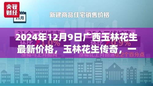 廣西玉林花生最新價(jià)格與傳奇故事，一場(chǎng)友情與陪伴的美味之旅