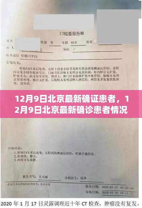 熊經(jīng)鳥伸 第4頁