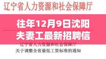 沈陽夫妻工最新招聘信息獲取攻略，高效尋找工作機(jī)會(huì)的指南