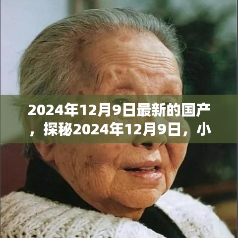 探秘隱藏瑰寶，特色小店奇遇之旅在2024年12月9日揭曉