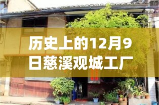 慈溪觀城工廠招聘盛況，舊日崗位與自然美景的探索之旅