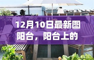 陽(yáng)臺(tái)上的溫馨日常，陽(yáng)光下的故事，12月10日的獨(dú)特時(shí)光