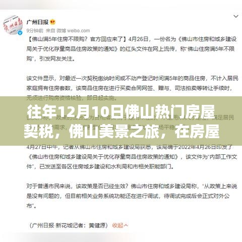 佛山房屋契稅與美景之旅，探尋內(nèi)心的寧靜與自然微笑之道