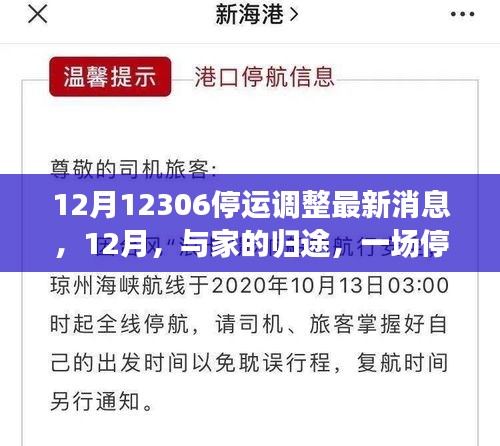 12月停運(yùn)調(diào)整心系歸途，12306最新消息與溫情之旅向家出發(fā)