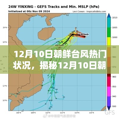 揭秘，12月10日朝鮮臺風熱門狀況深度解析與三大要點探討