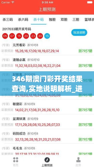 346期澳門彩開獎結(jié)果查詢,實地說明解析_進階版3.999
