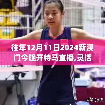 往年12月11日2024新澳門今晚開特馬直播,靈活實(shí)施計(jì)劃_手游版110.728