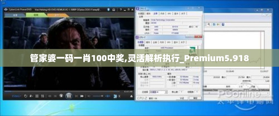 管家婆一碼一肖100中獎(jiǎng),靈活解析執(zhí)行_Premium5.918