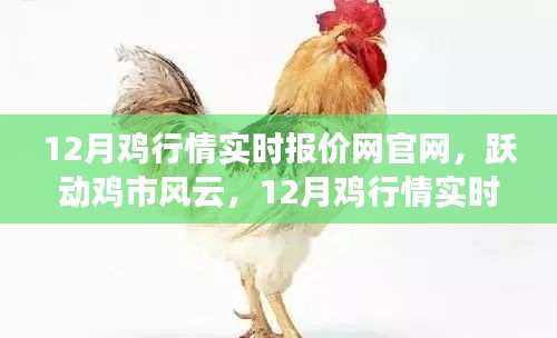 躍動(dòng)雞市風(fēng)云，12月雞行情實(shí)時(shí)報(bào)價(jià)網(wǎng)官網(wǎng)引領(lǐng)成功之路，行情盡在掌握