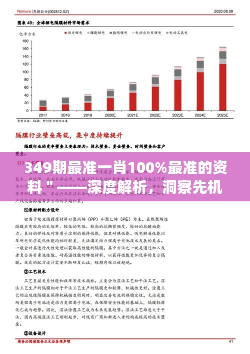 349期最準(zhǔn)一肖100%最準(zhǔn)的資料＂——深度解析，洞察先機(jī)