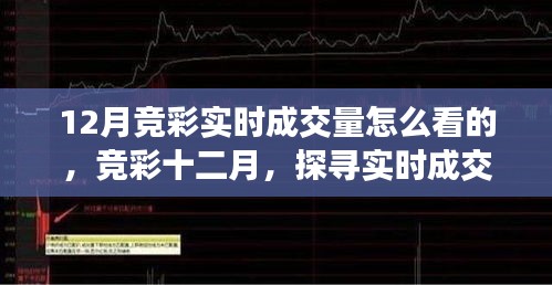 探尋競彩十二月實時成交量奧秘與影響，成交量分析與解讀