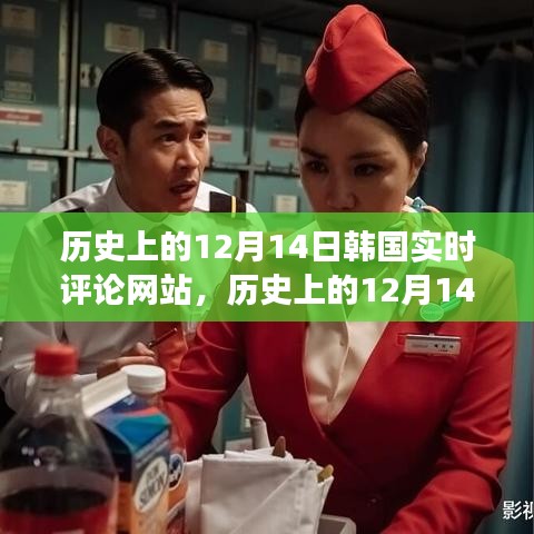 韓國實時評論網(wǎng)站的演變與影響，歷史上的12月14日回顧