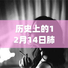 歷史上的十二月十四日，肺炎動(dòng)態(tài)壁紙與動(dòng)漫壁紙店的探秘之旅