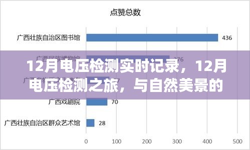 12月電壓檢測之旅，實時記錄與自然美景的交融