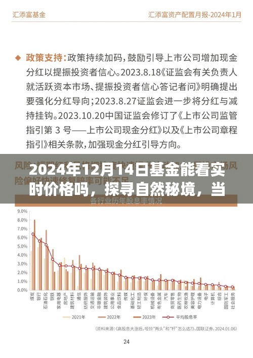 探尋自然秘境與基金實(shí)時(shí)價(jià)格之旅，一場心靈與財(cái)富的奇妙交融