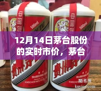 茅臺股份實(shí)時市價與心靈平和之旅，與自然美景的邂逅