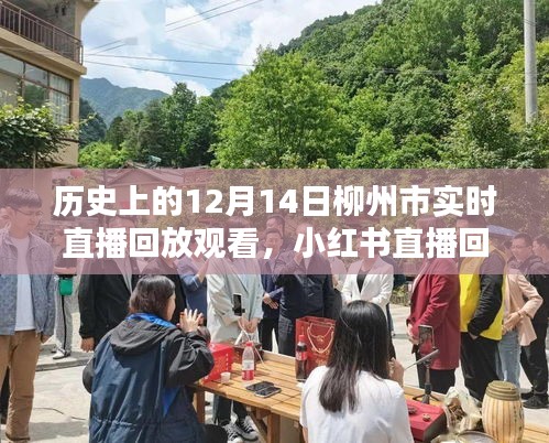 柳州市歷史時刻探尋，12月14日直播回放與值得銘記的瞬間
