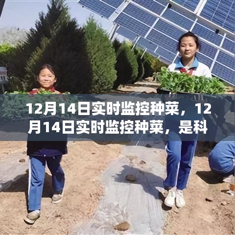 科技賦能還是過(guò)度干預(yù)？種菜實(shí)時(shí)監(jiān)控引發(fā)爭(zhēng)議。