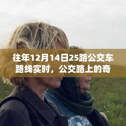 十二月十五日公交之旅，路上的奇遇與溫情紐帶紀(jì)實(shí)