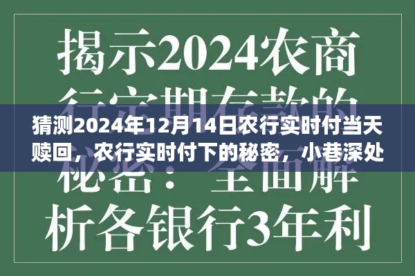 農(nóng)行實(shí)時(shí)付，揭秘特色贖回與小巷深處的秘密小店探秘