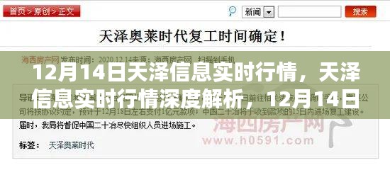 天澤信息實時行情解析，深度剖析與特殊篇章（12月14日）