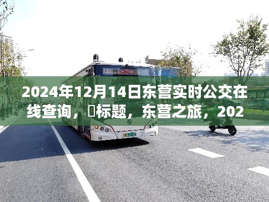 東營公交實(shí)時(shí)查詢系統(tǒng)，探尋心靈靜謐角落的公交之旅