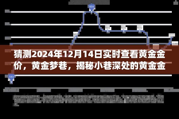 揭秘黃金夢巷，黃金金價預測小站實時查看，預測未來黃金走勢（2024年12月14日）